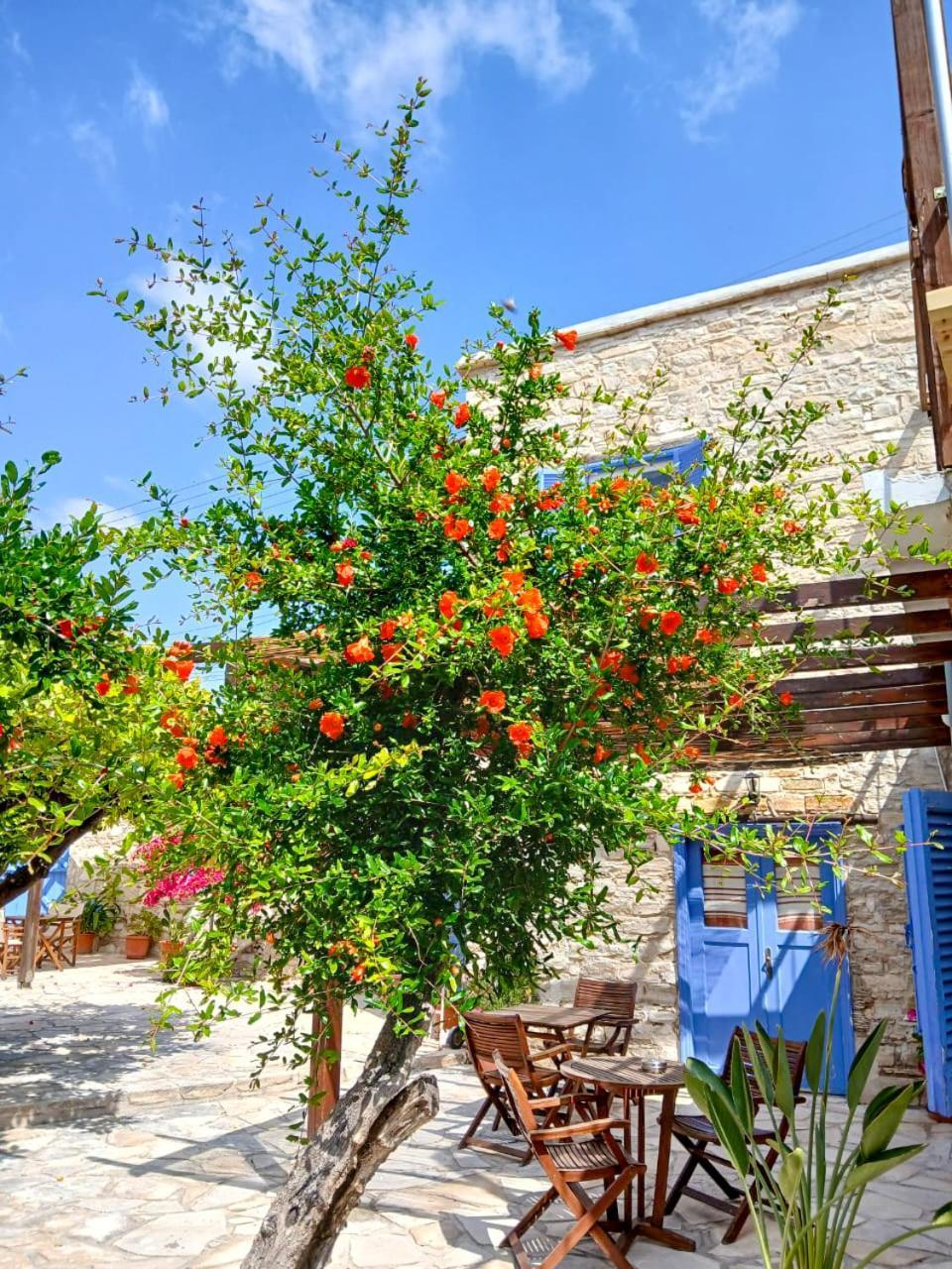 Athena'S Pool Oasis Apartman Szkarínu Kültér fotó