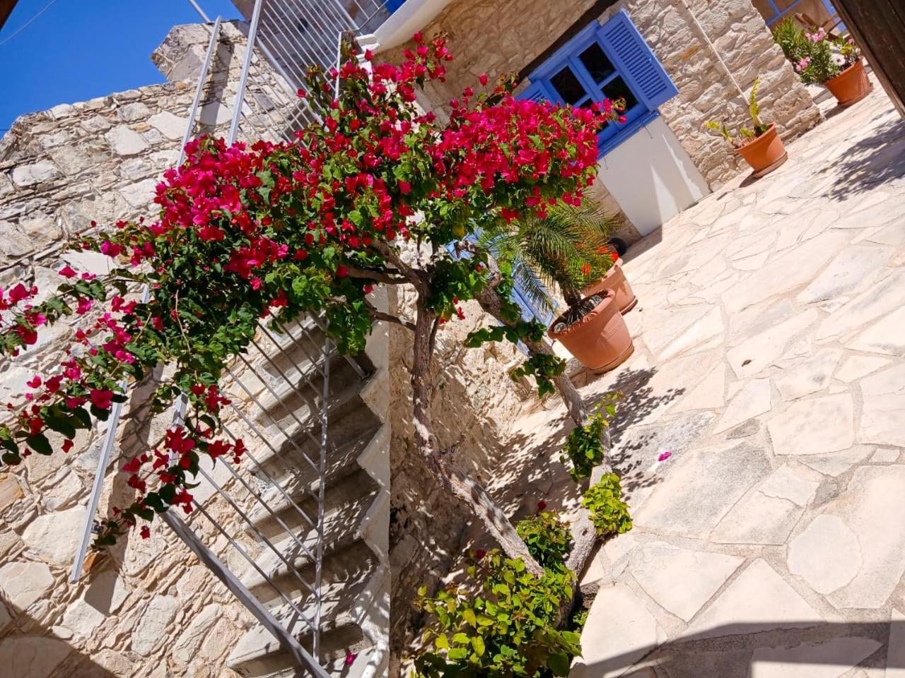 Athena'S Pool Oasis Apartman Szkarínu Kültér fotó